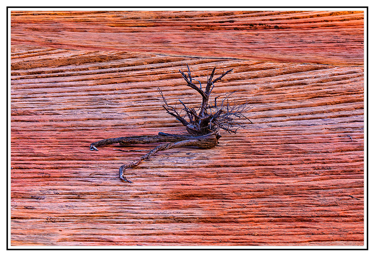 5DSR0795.jpg
