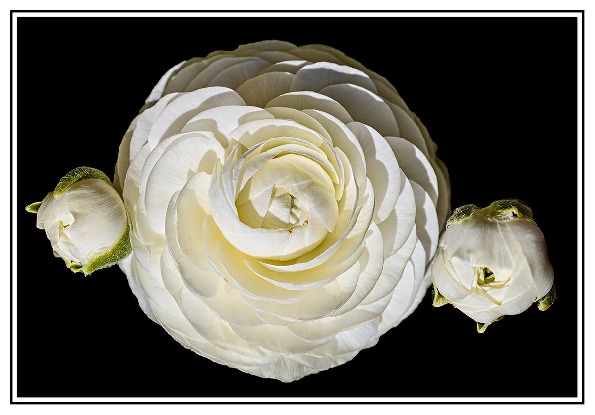 5DSR4873.jpg
