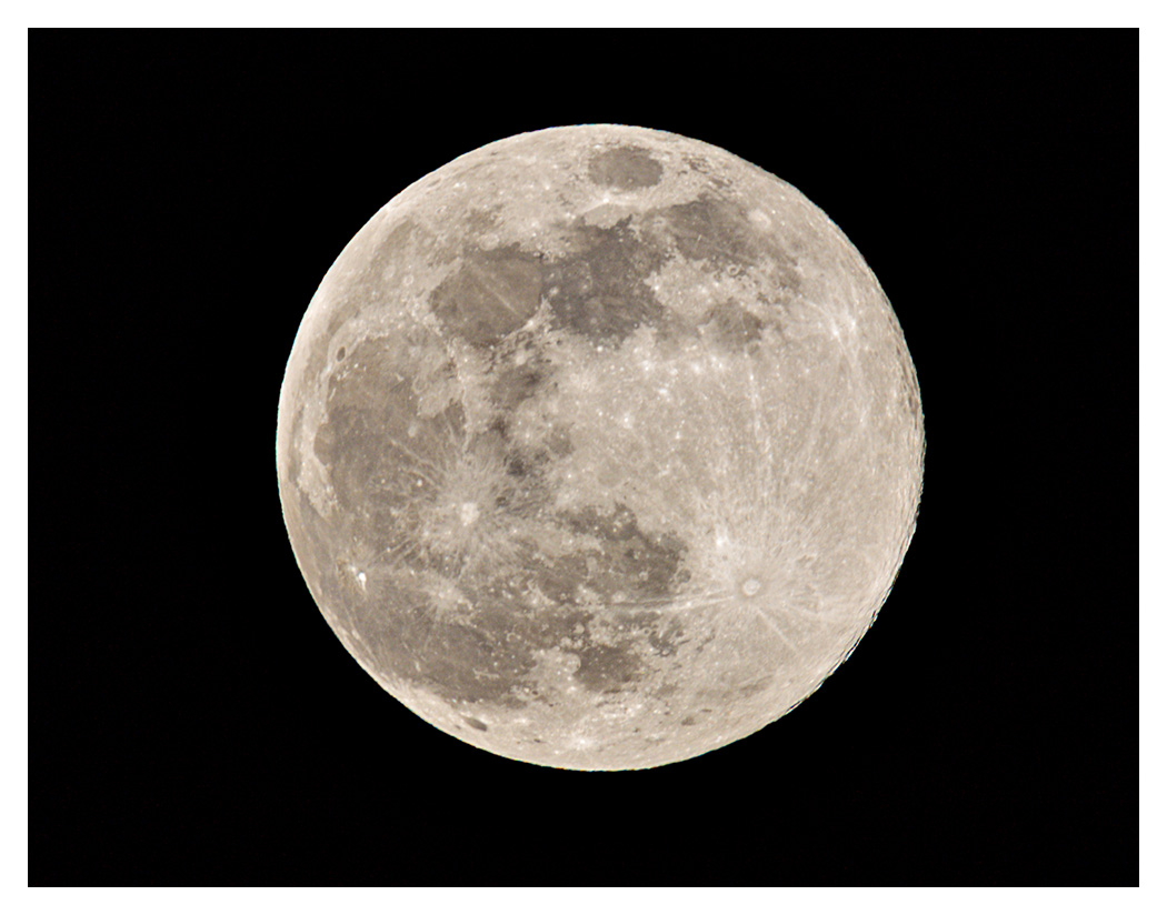 5DSR4890.jpg