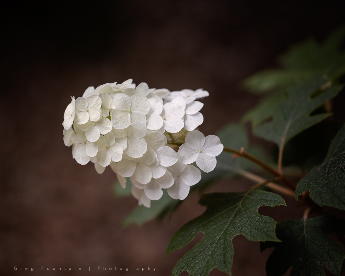 5J2A3334-Edit-Edit.jpg