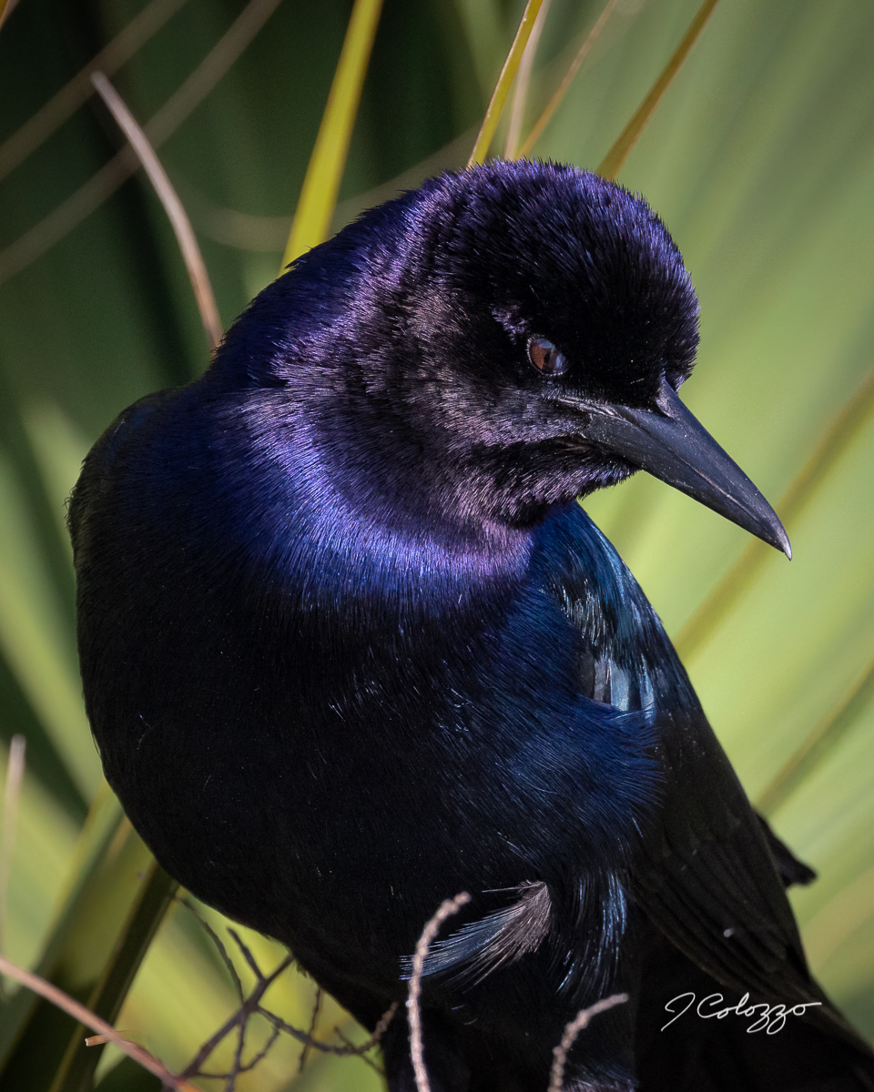 5W2A0769-Edit.jpg
