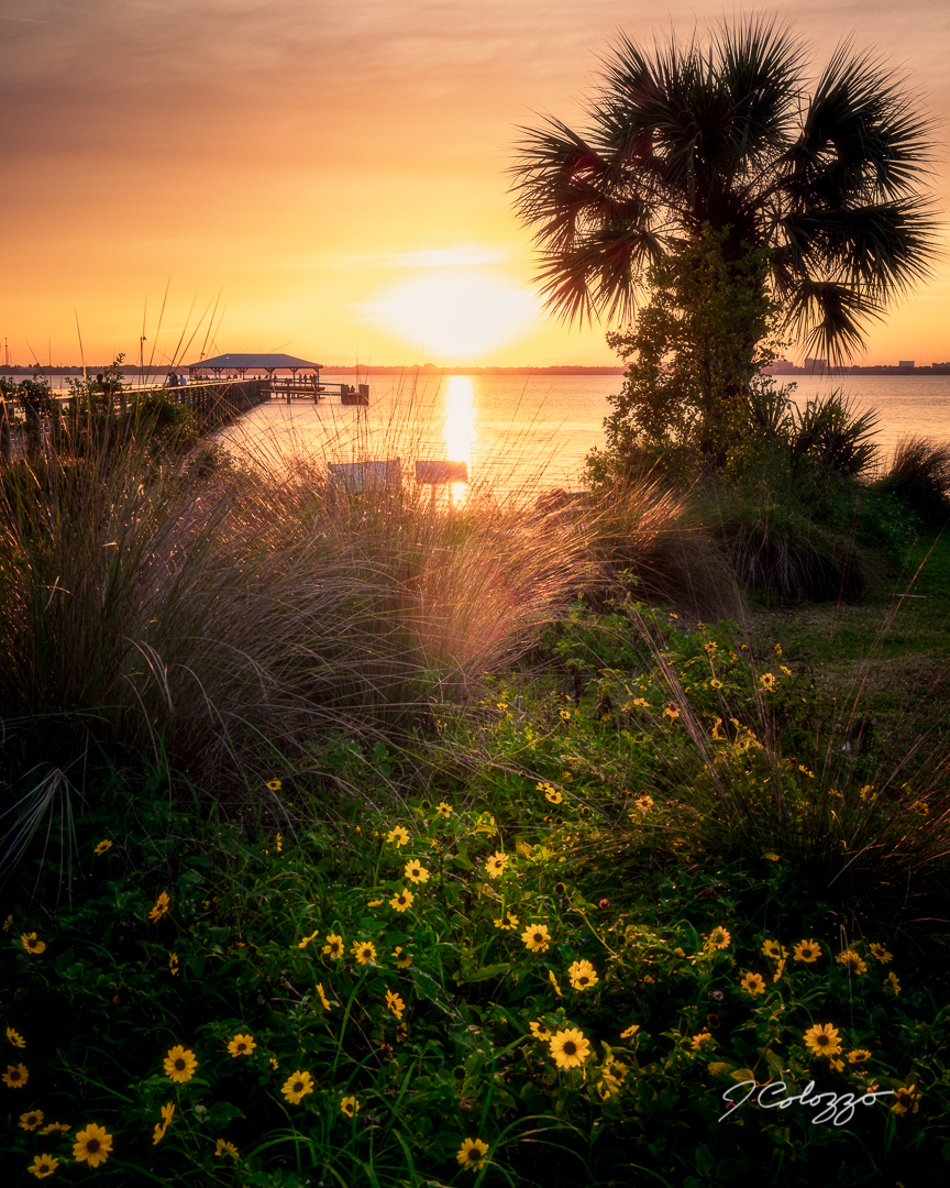 5W2A4783-Edit.jpg