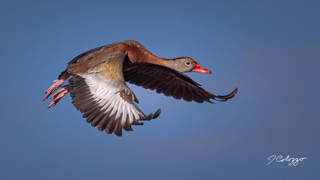 5W2A8845-Edit.jpg