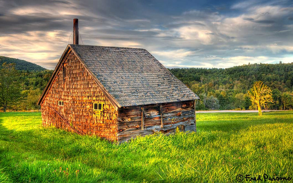 606f6335 tree and shed trimed.jpg
