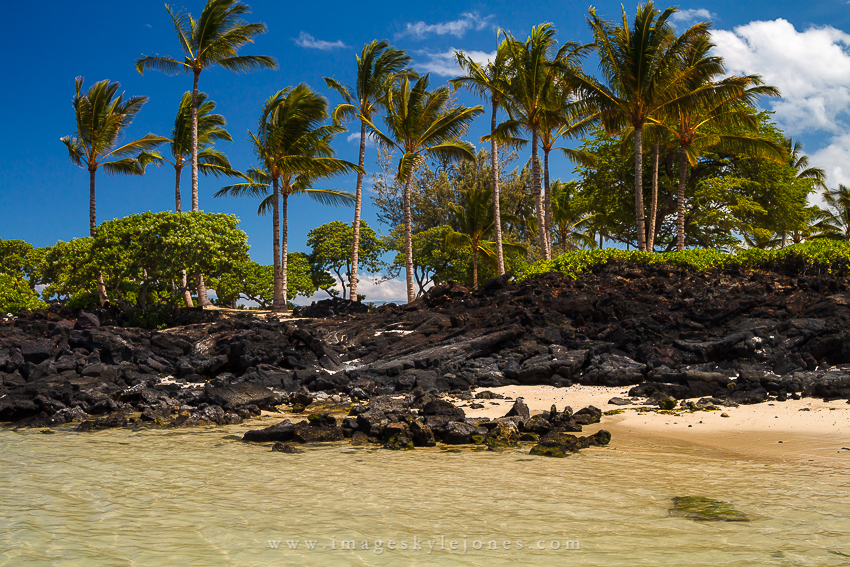 6467 Hawaiian Sun_850.jpg