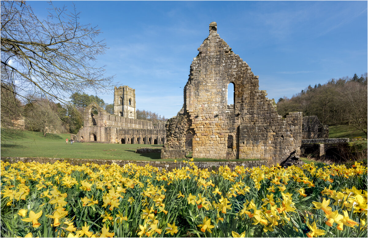 6609 6610 pano copy.jpg