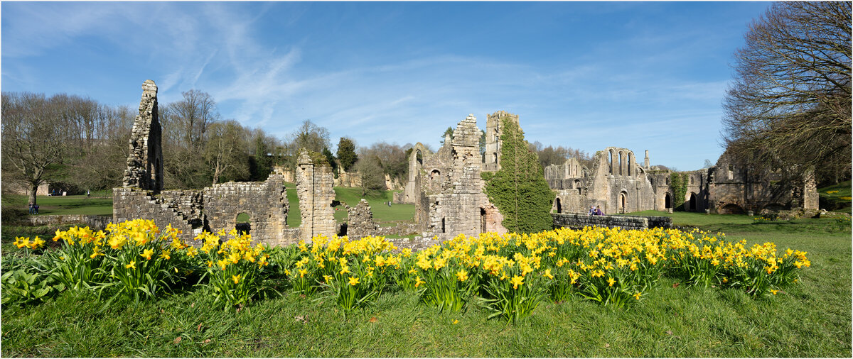 6613 6614 panorama copy.jpg