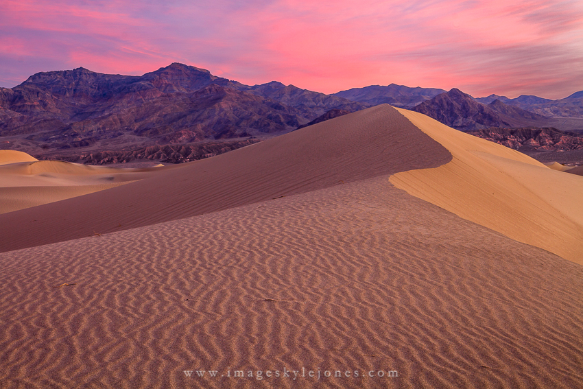 6798 Mesquite Dawn_850.jpg