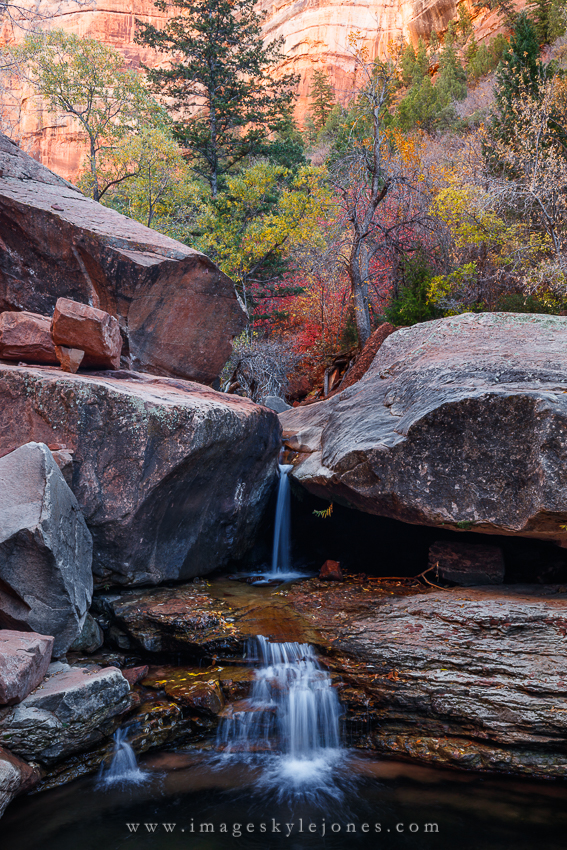 6995 Left Fork North Creek Autumn_850.jpg