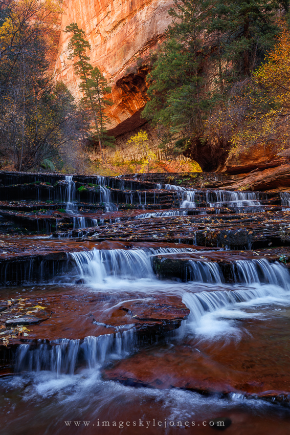 7001 Archangel Autumn Portrait_850.jpg