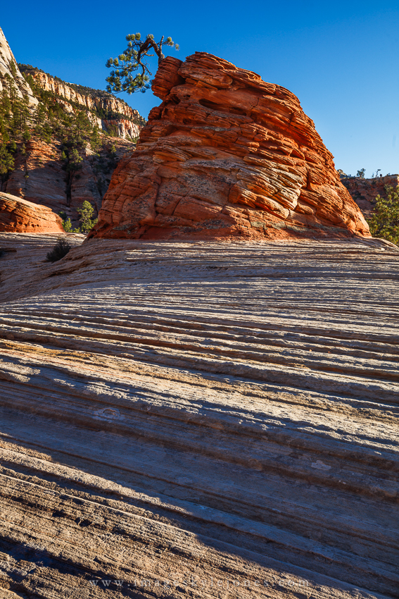 7115 East Zion Landscape_850.jpg
