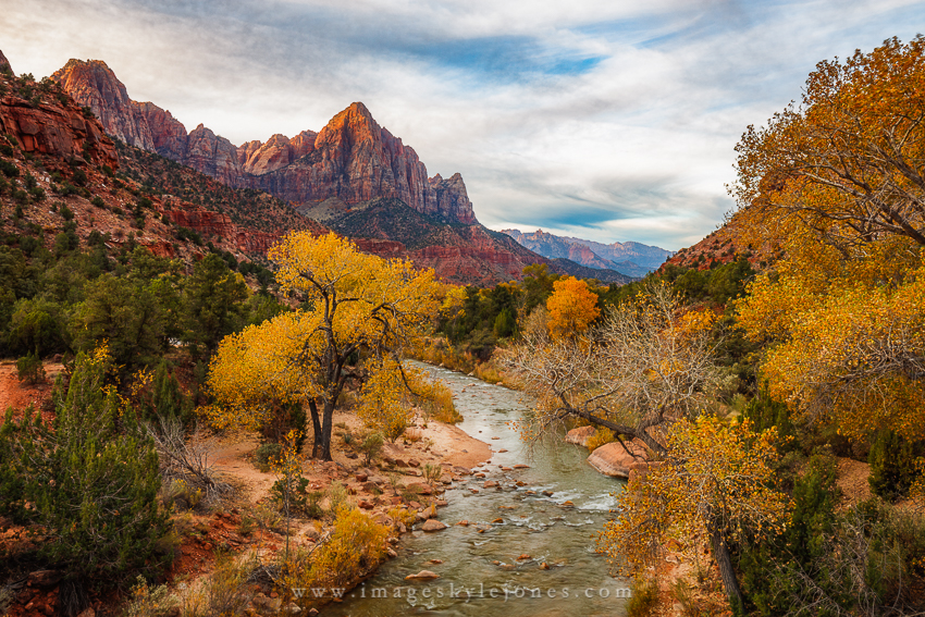7216 Zion Autumn_850.jpg
