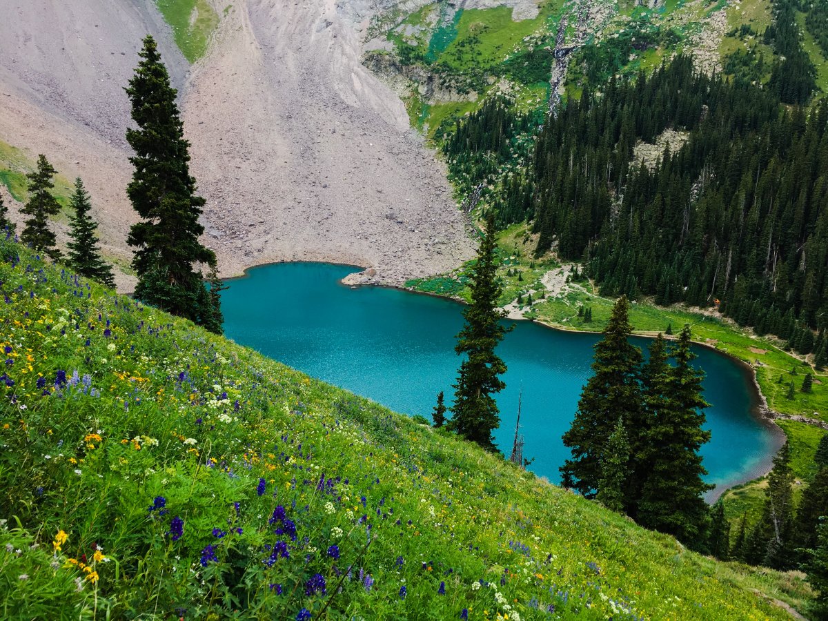 73313594-D480-4D3D-A694-59B39844A929.jpeg