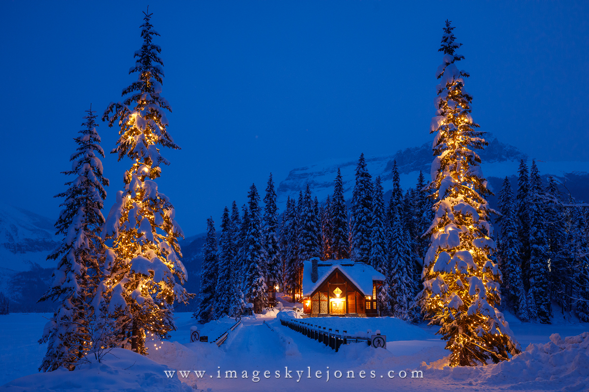 7502 Emerald Lake Lighted Trees_1200.jpg