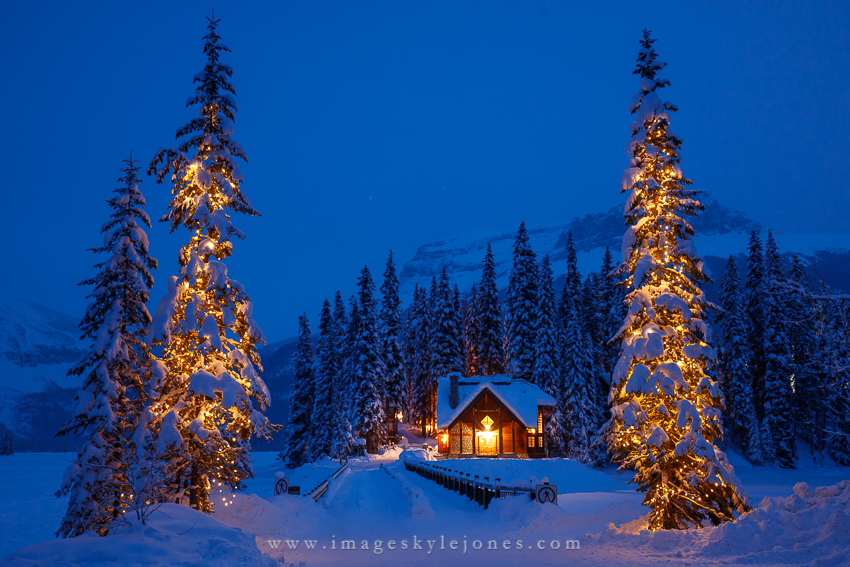 7502 Emerald Lake Lighted Trees_850.jpg