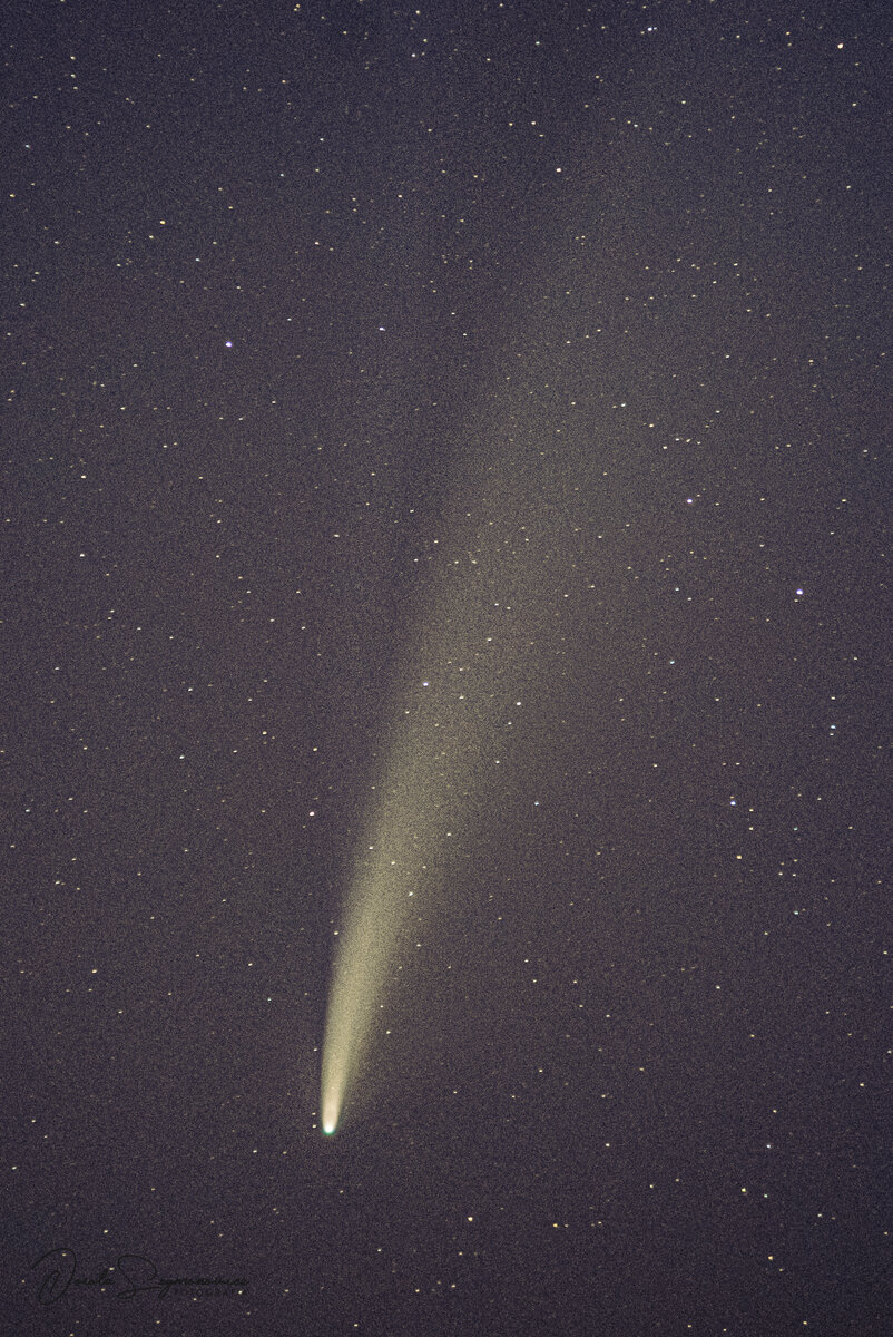 750_9649.jpg