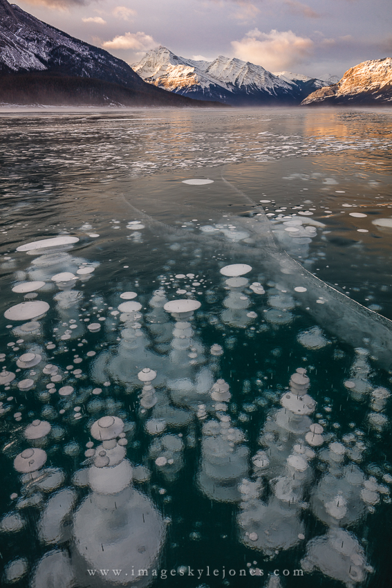 7732 Abraham Lake Morning_850.jpg