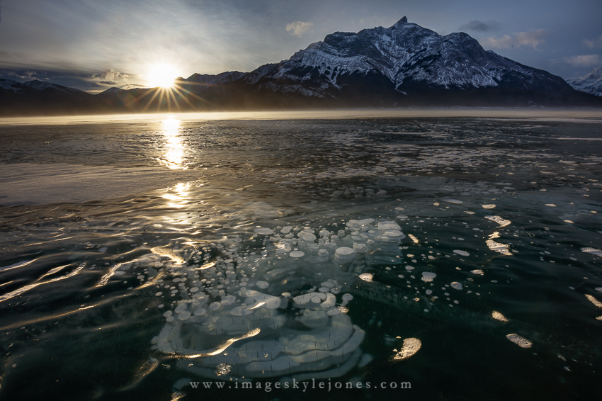 7762 Abraham Sunburst_850.jpg