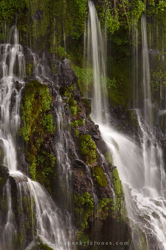7829 Burney Falls_850.jpg