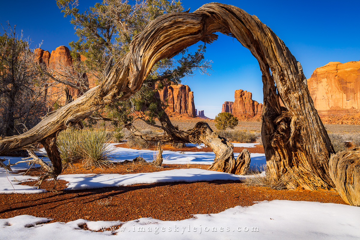 7855 Monument Through the Tree_1200.jpg