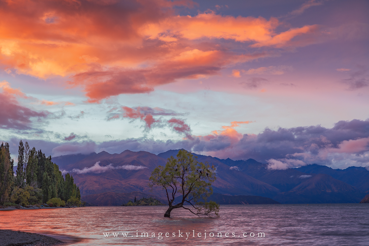 7925 Wanaka Sunset_1200.jpg