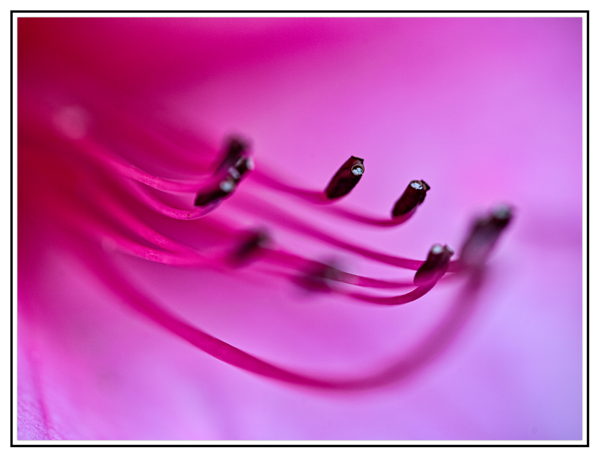 7A6D31E3-0C3F-4C02-97FE-5EA038BE99EF.jpeg