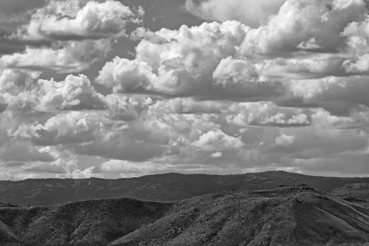 7D2_1361_230917_SE3w.jpg