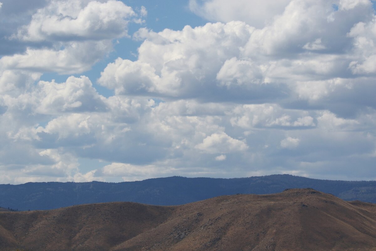 7D2_1361_230917w.JPG