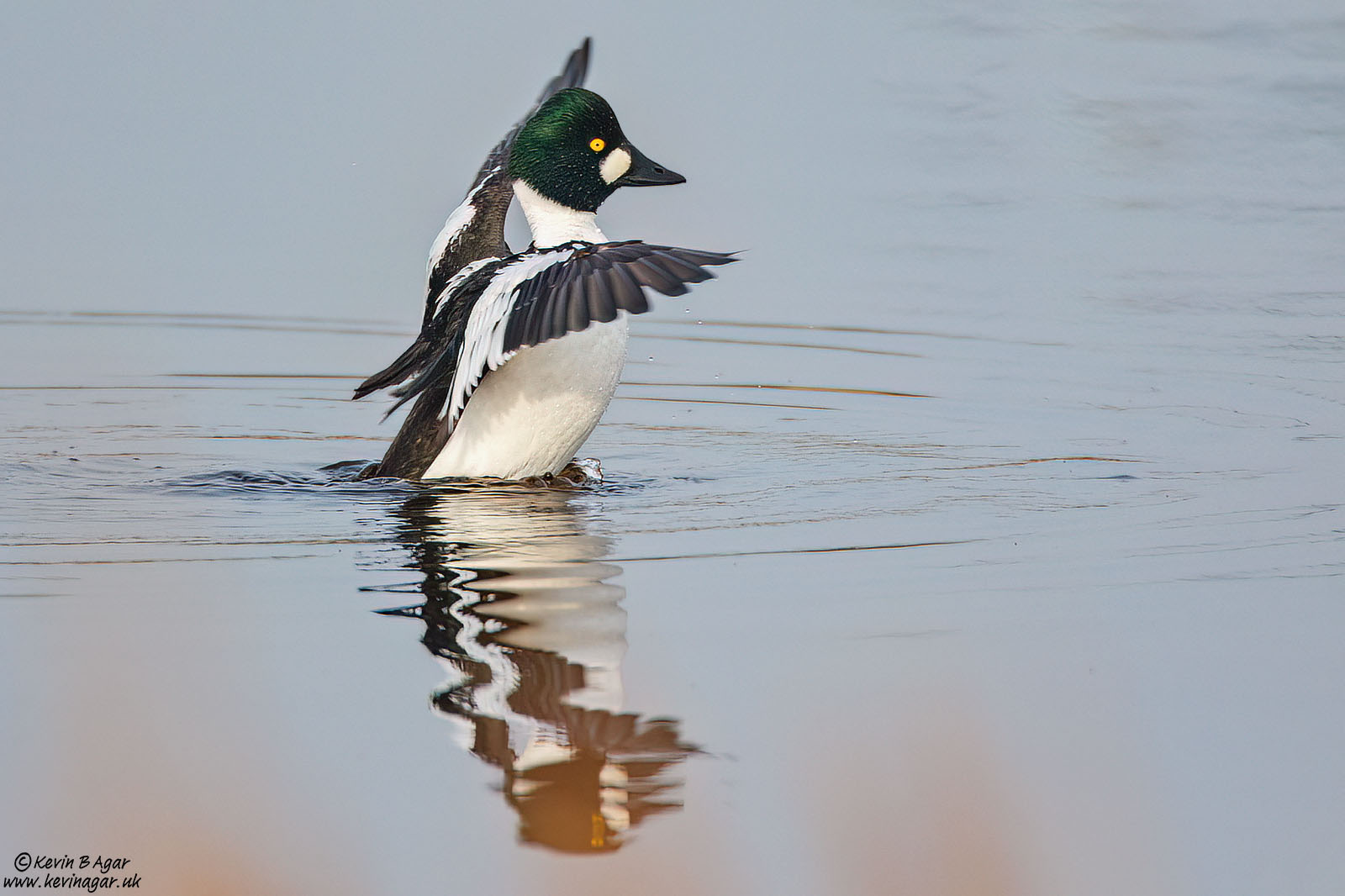 7D2_4187.jpg