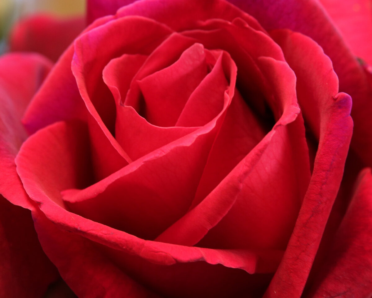 7D2_5593_220411_c1w.jpg
