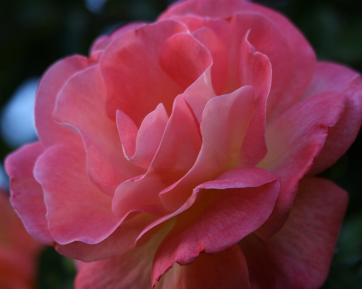 7D2_5635_220411_c1w.jpg