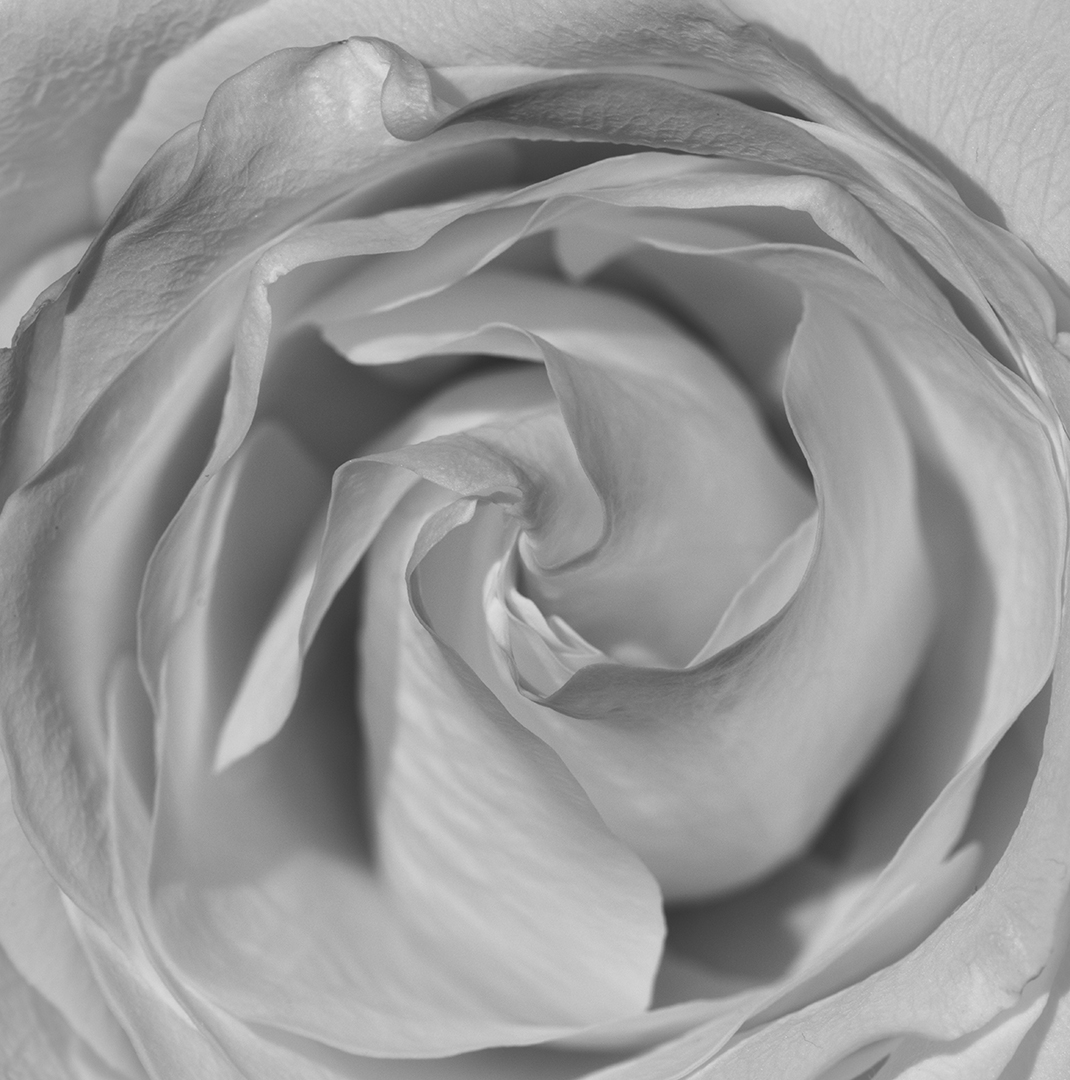 7N5A0241-Edit.jpg