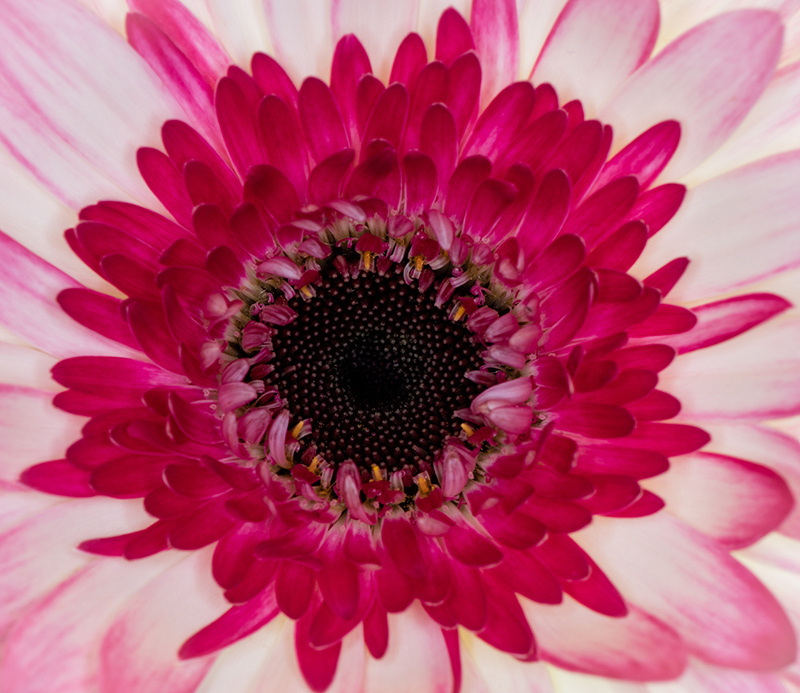 7N5A0479.jpg