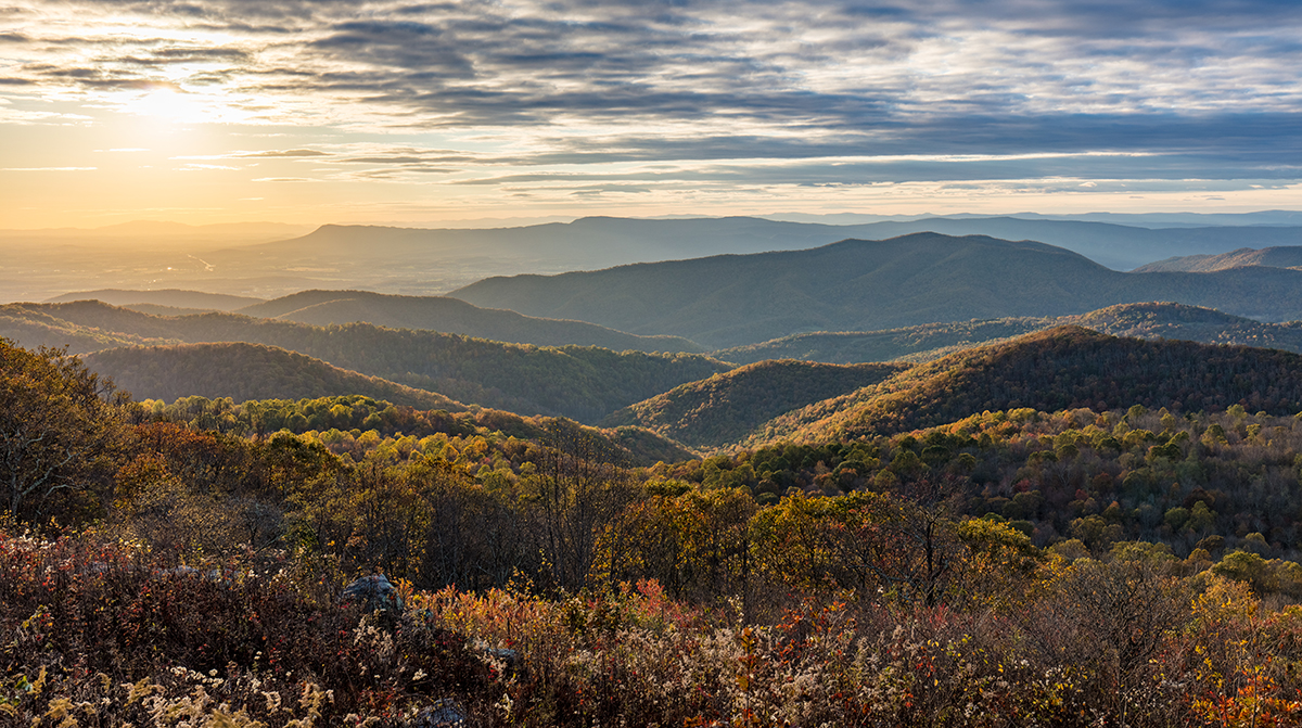 7N5A1289-HDR.jpg