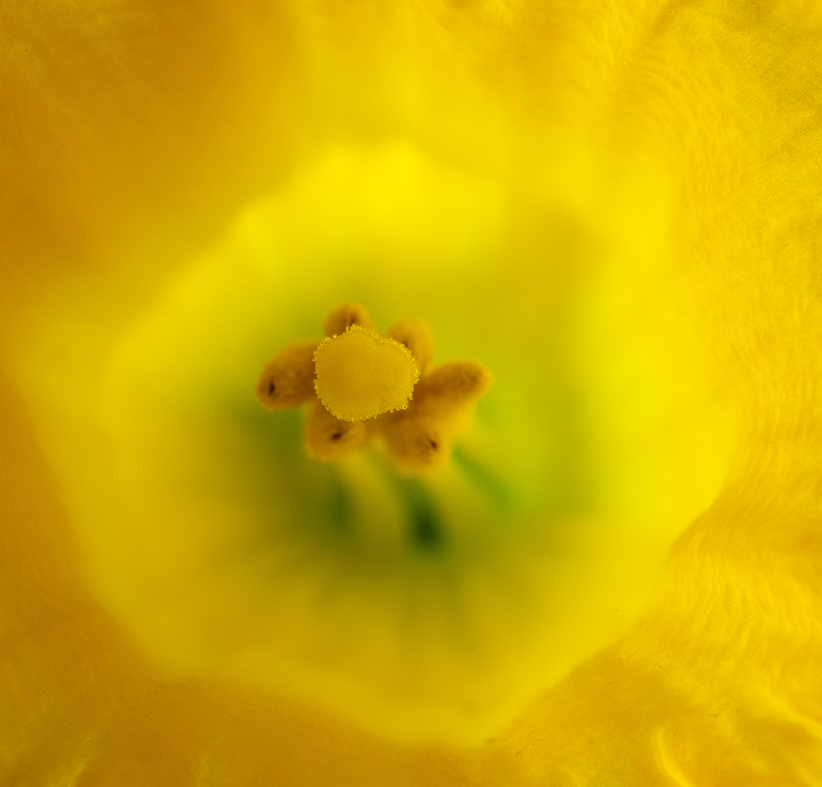 7N5A5889.jpg