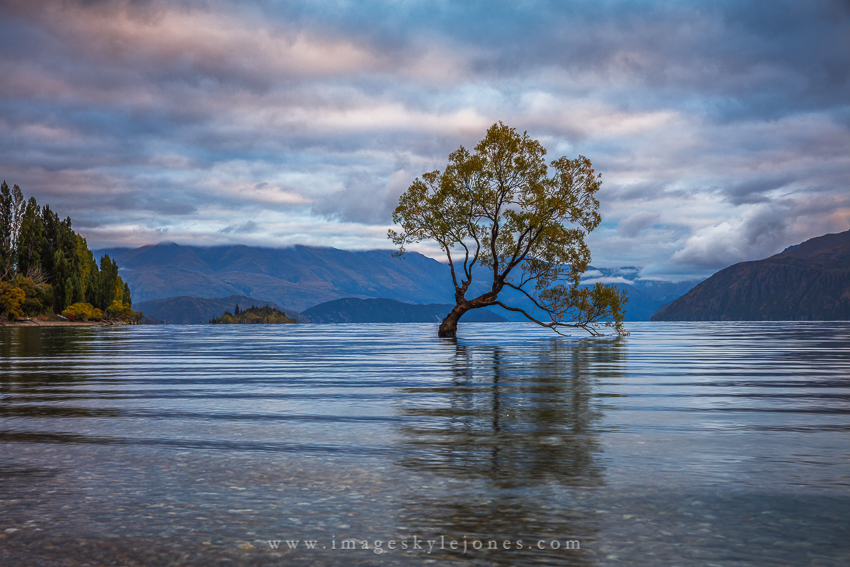 8047 Wanaka Sunrise_850.jpg