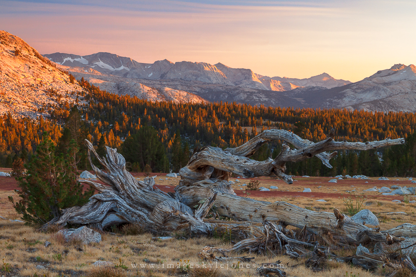 8073 High Sierra Sunset_850.jpg