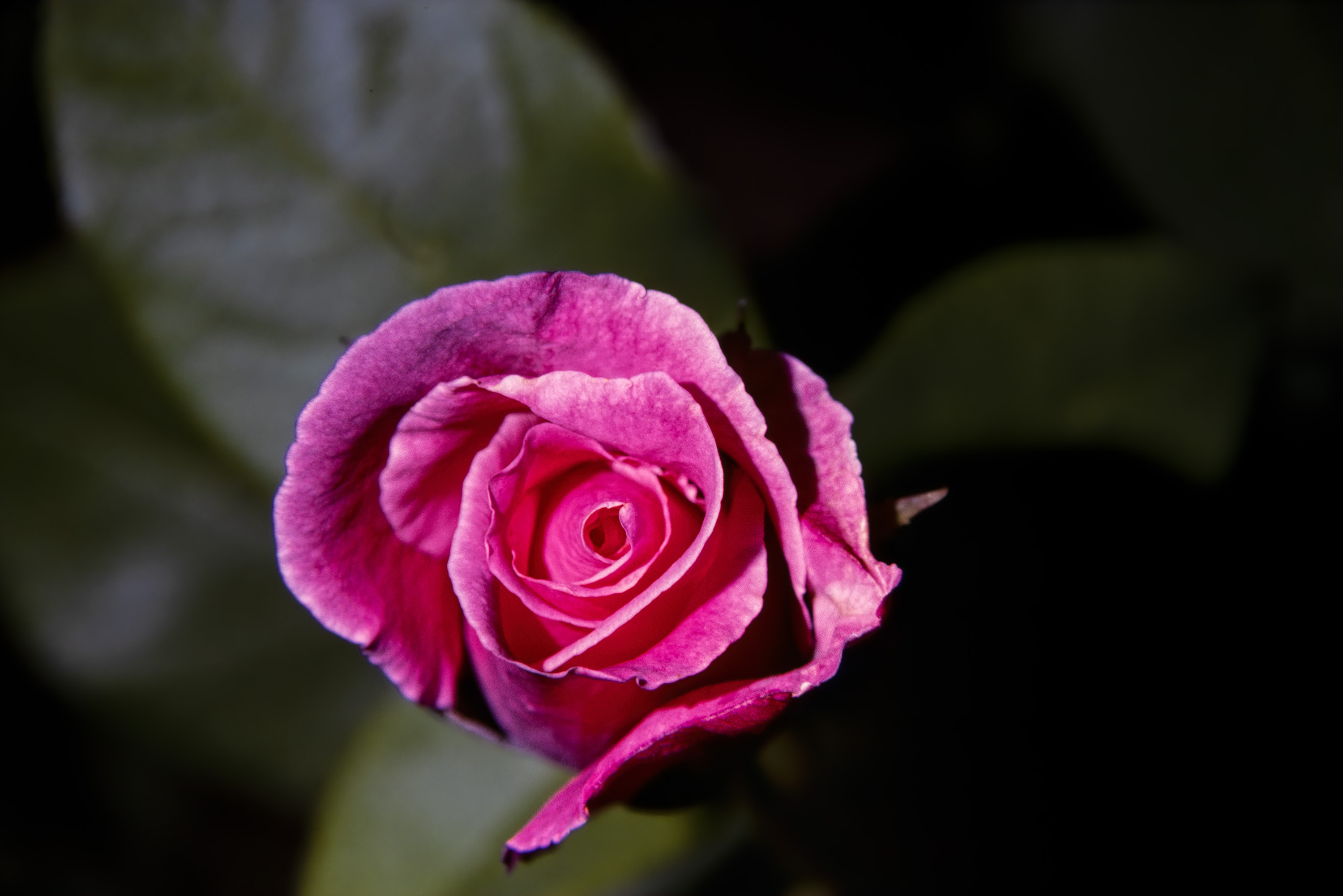 82 jul k25 220212-27601-R5.jpg