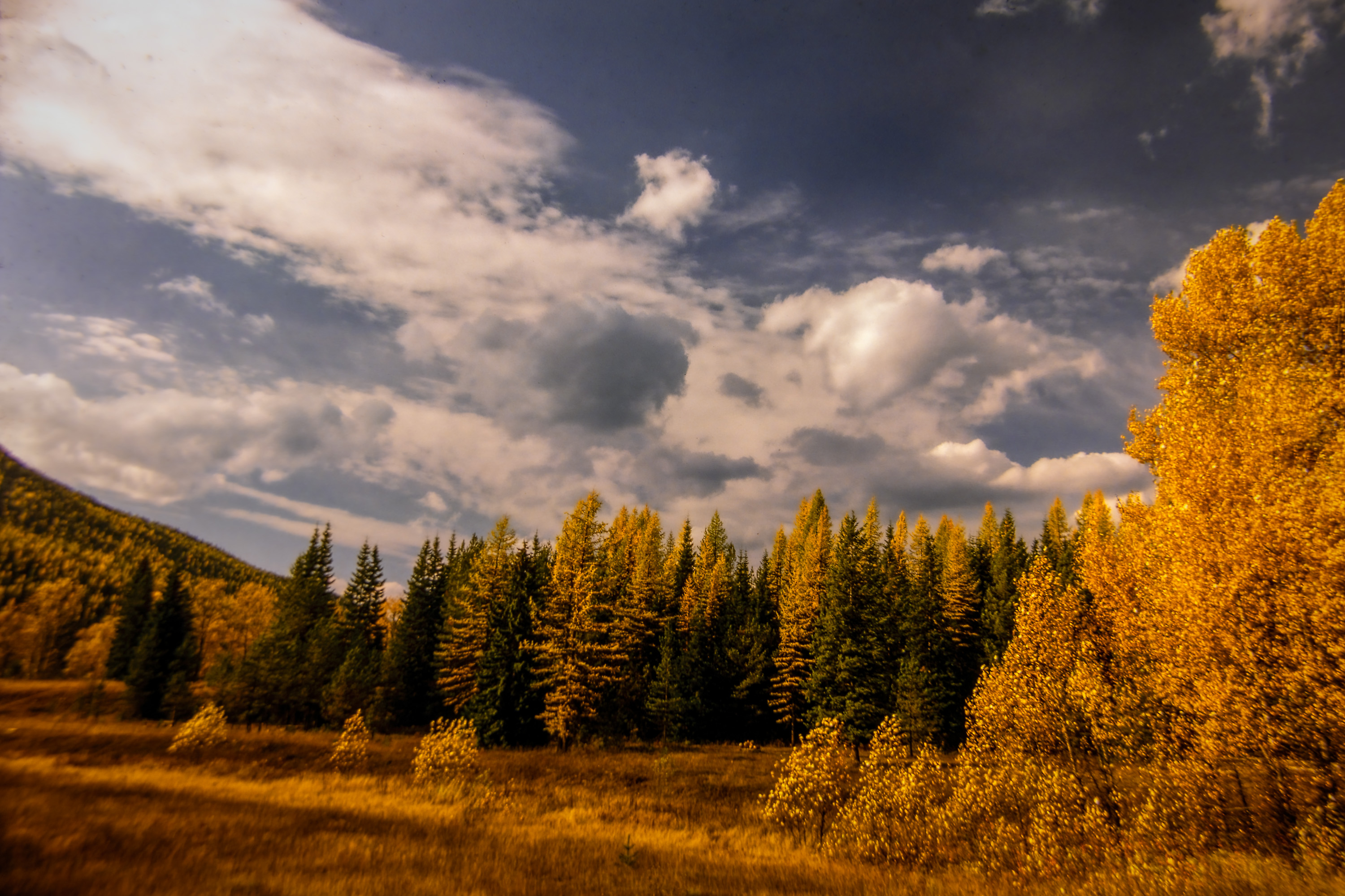 82 oct k 25 220207-27563-R5.jpg