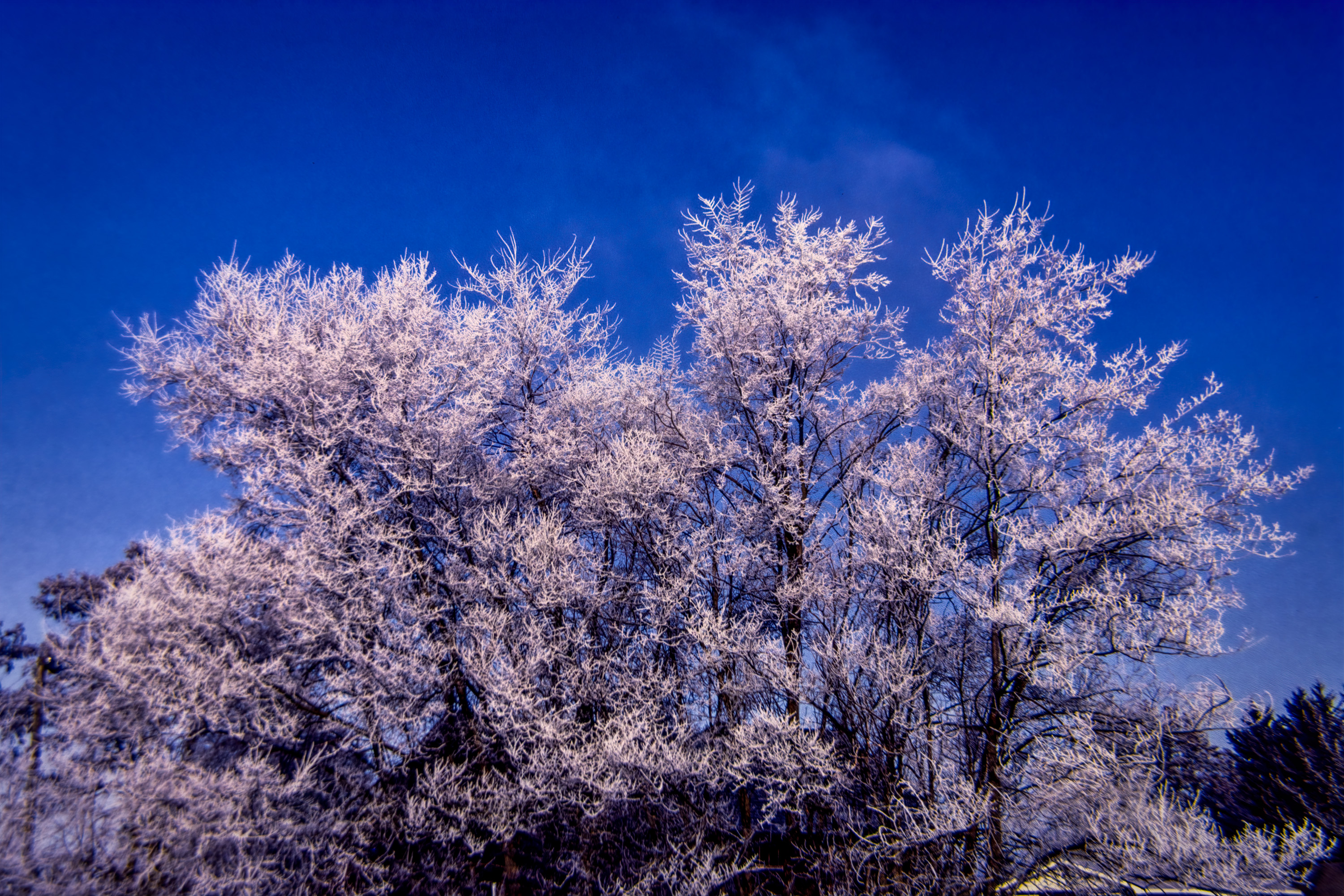 83 feb k64 20213-27618-R5.jpg