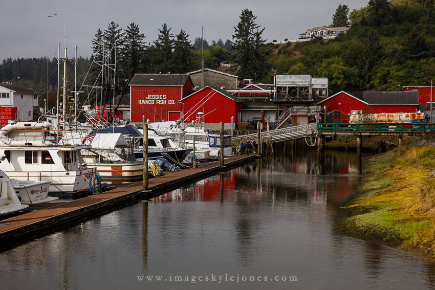 8852 Ilwaco Docks_850.jpg