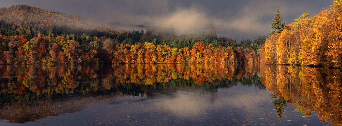 #9 Perthshire foliage.jpg