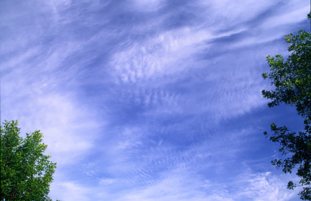 94504189.Fvrhylyl.cirrocumulus.jpg