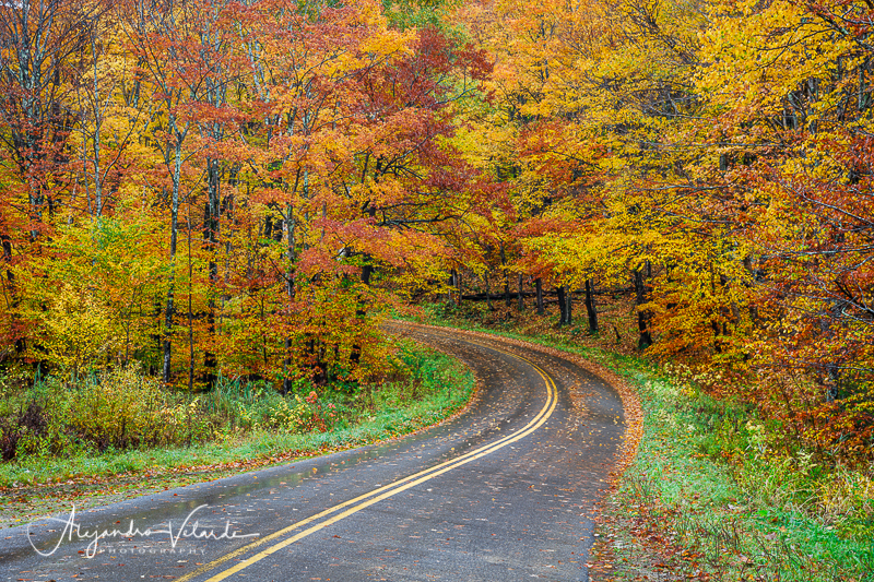 _04A3260-Edit.jpg