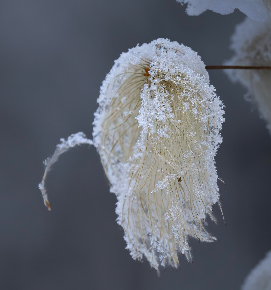 _1070284-Edit.jpg