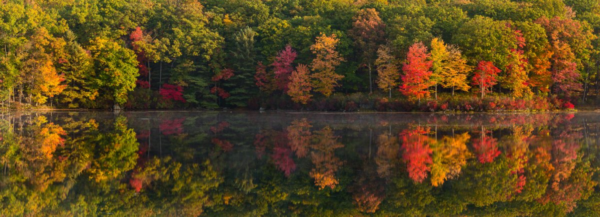 _19A1263-Pano-Edit.jpg
