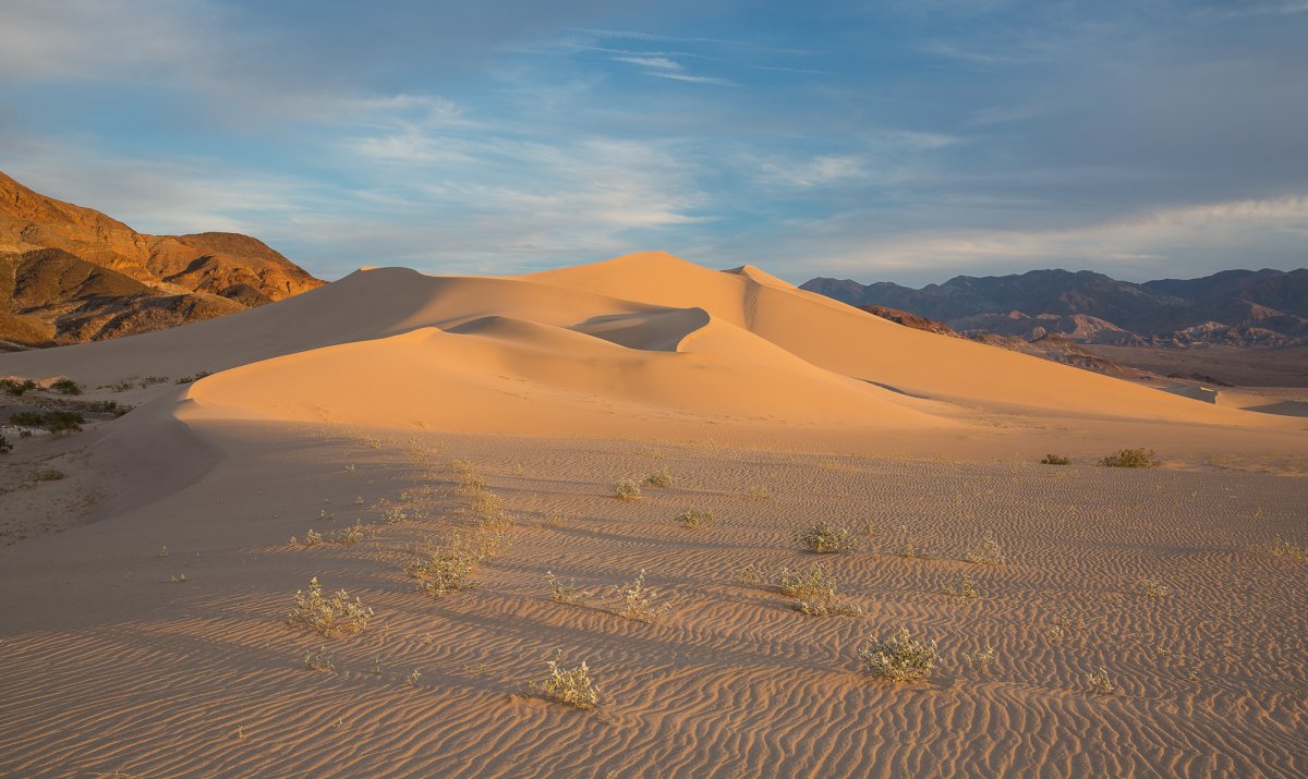 _19A1447-Edit.jpg