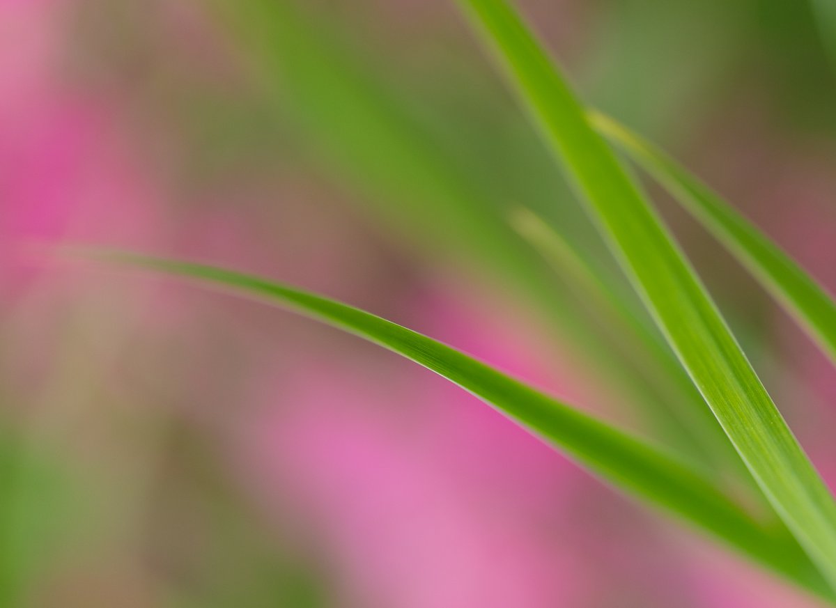 _28A0013-9-Edit.jpg