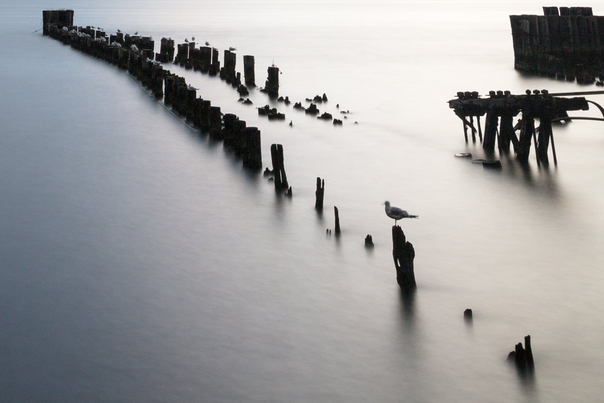 _28A0015-4-Edit.jpg