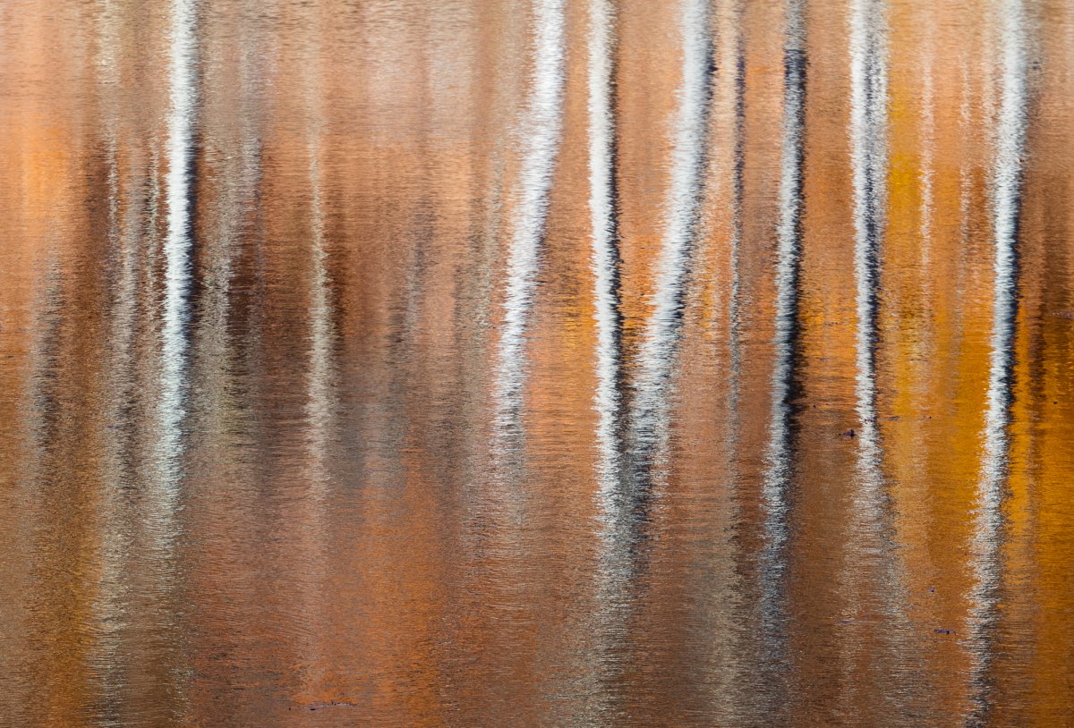 _28A0076-4-Edit.jpg